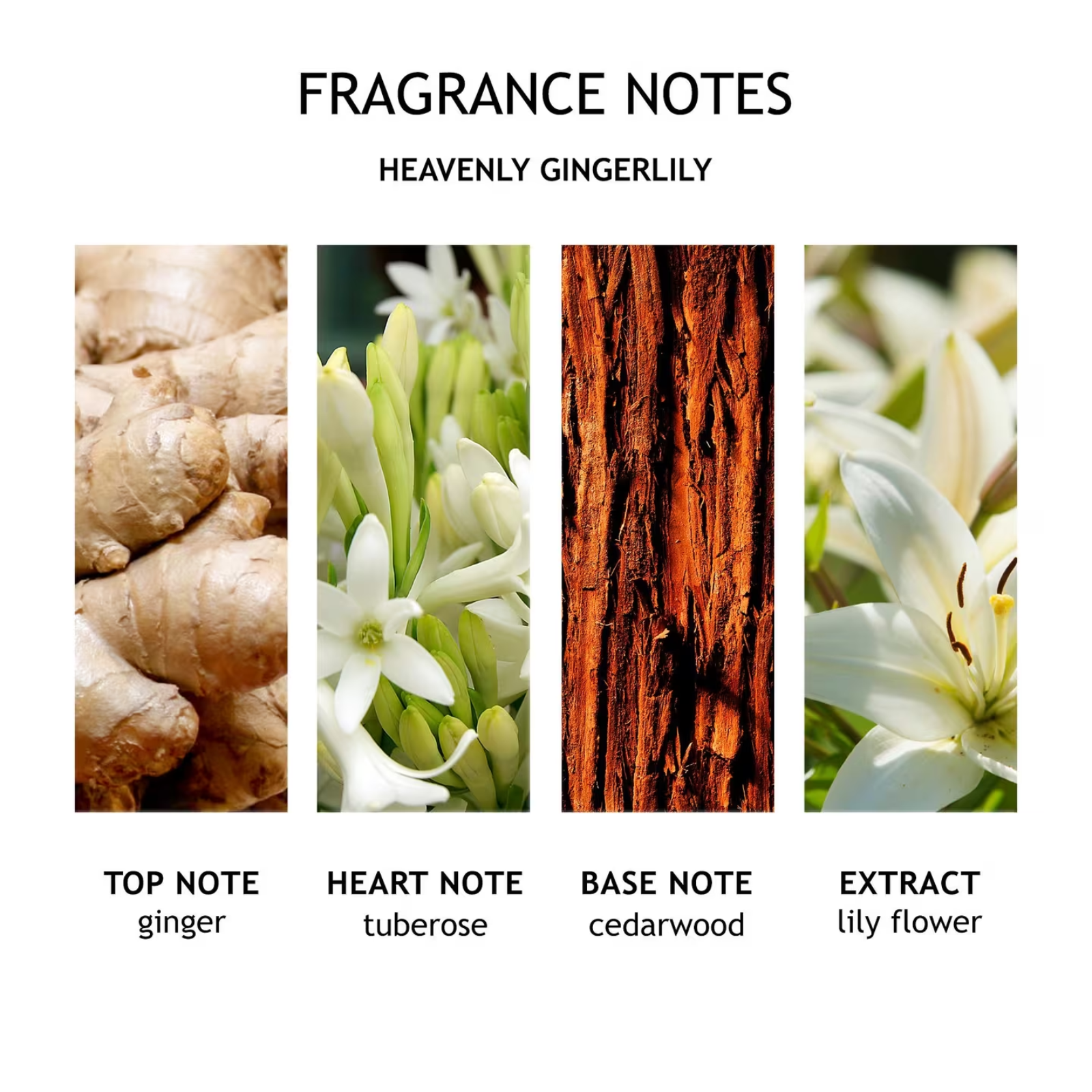 s-l1600-160.png s-l1600-160.png