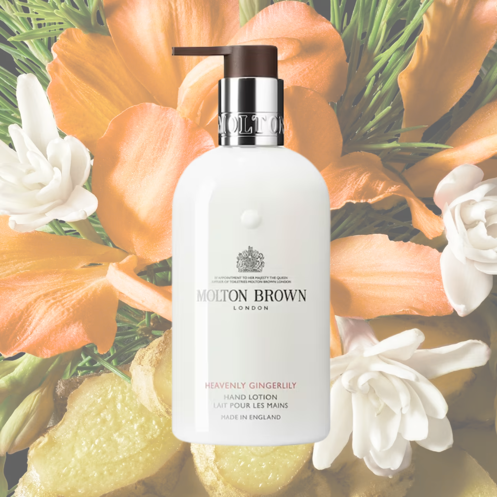 s-l1600-161.png s-l1600-161.png